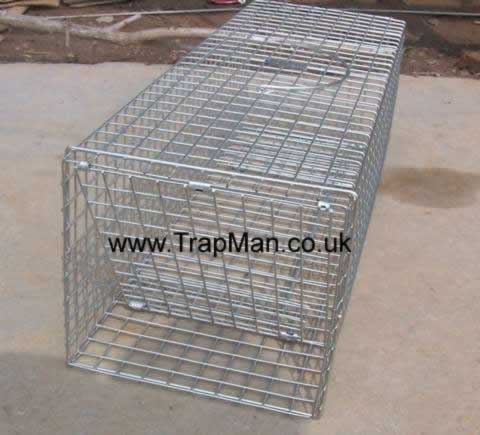 new rabbit trap