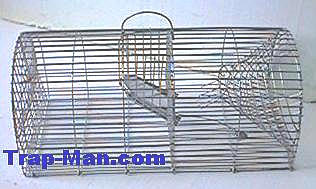 Monarch Rat Trap