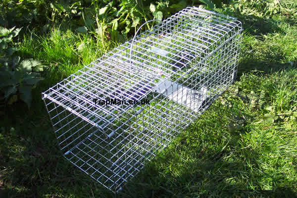 single catch Folding pigeon trap