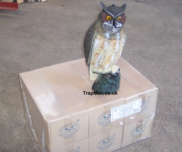 Pack of six plastic owl decoys 