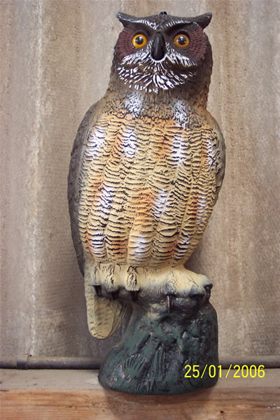 plastic owl decoy bird