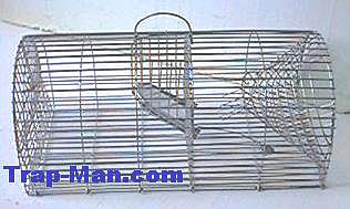 rat traps, multi catch rat trap, selfset rat trap, wooden rat trap, wooden rat trap, Little Nipper rat trap and monarch rat trap