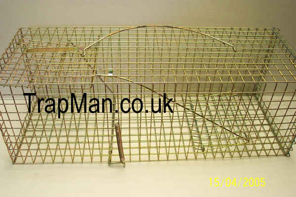 pro gold feral cat trap with clear sliding rear door