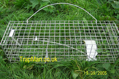 https://www.trap-man.com/squirrel-trap.jpg